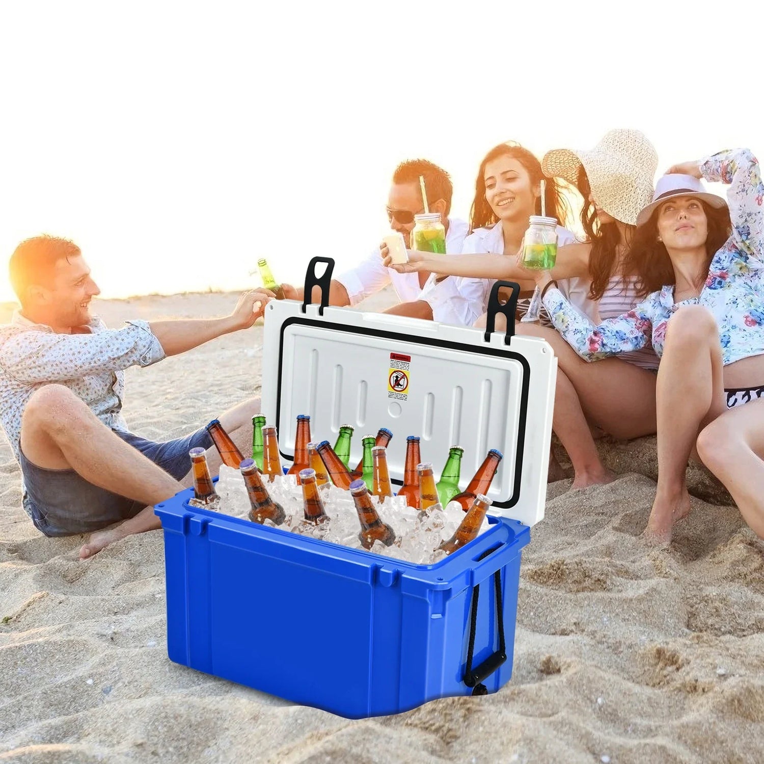 Ice Chest and Coolers