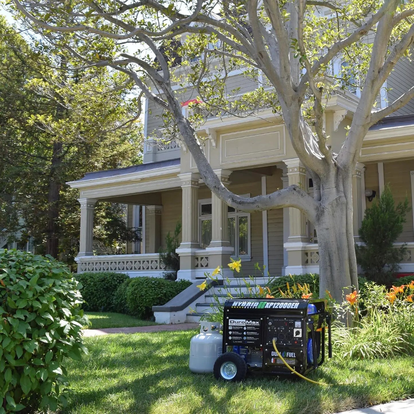 12,000-Watt Dual Fuel Portable Generator - Gas & Propane, Electric Start, Whole Home Backup Power